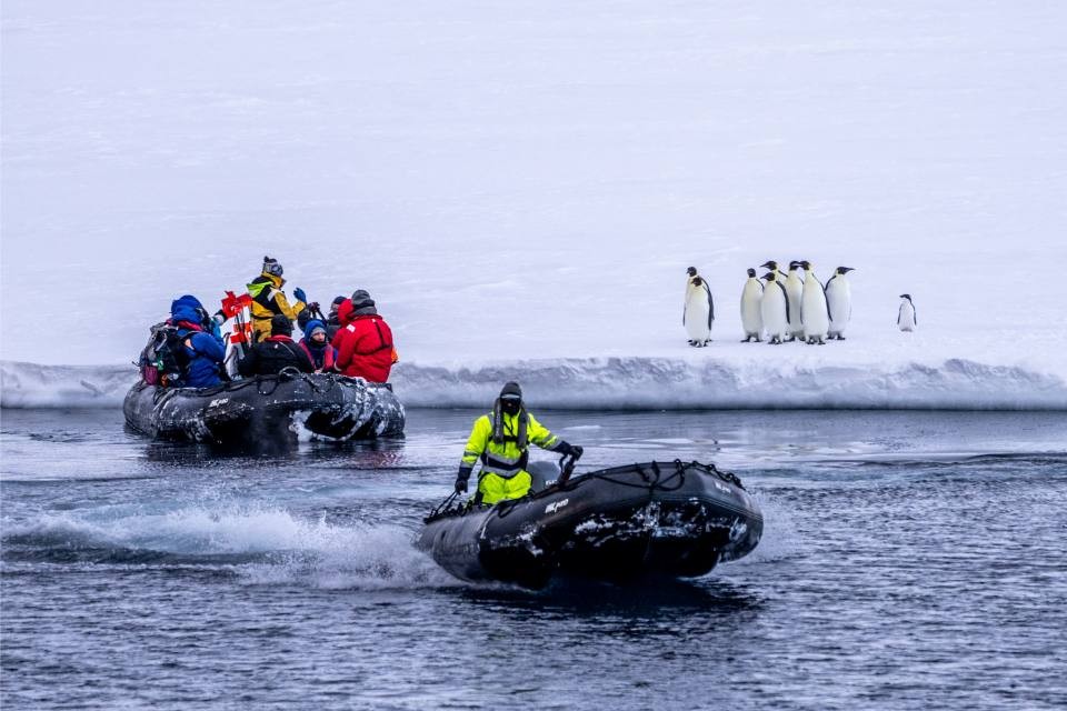 Antarctic Expedition Landing with Penguins Tourists in colorful expedition gear arrive by inflatable zodiac boats to observe a group