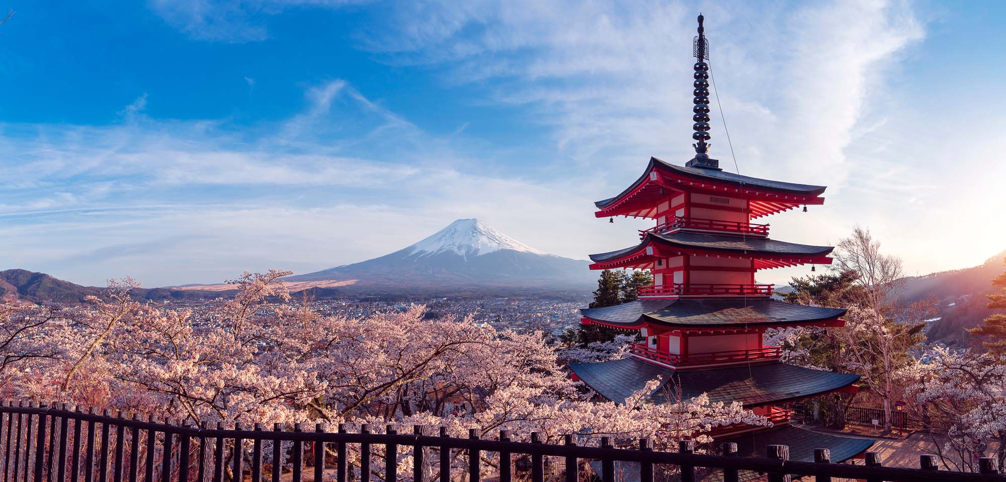 Cherry Blossoms and Mount Fuji, Japan A stunning panoramic view of a traditional red Japanese pagoda with cherry blossoms in the foreground and snow-capped Mount Fuji in the background under a clear blue sky.