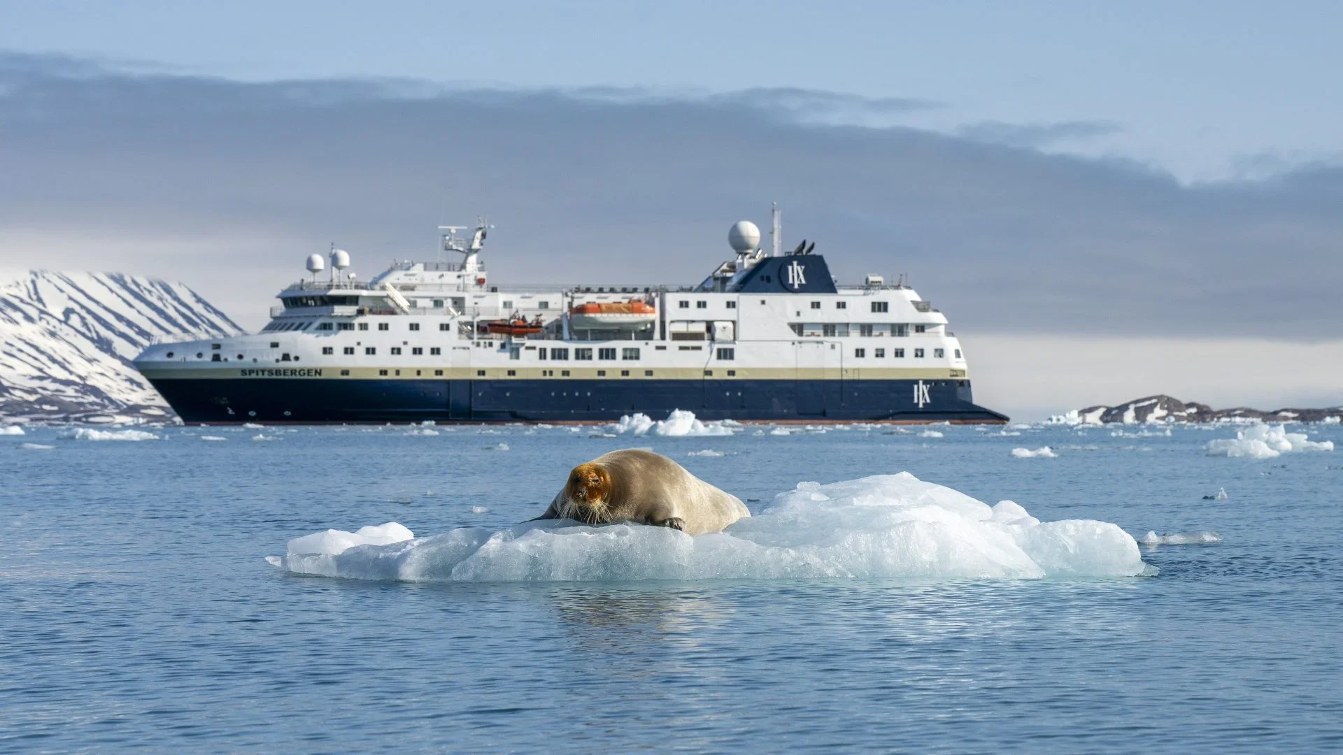 Cruise Ship in Arctic Polar Landscape A white expedition cruise ship navigating through icy waters with a walrus resting on an ice floe in the foreground. Snow-covered mountains frame the serene polar seascape.