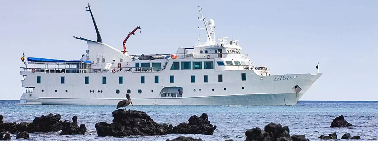 A white expedition cruise ship named La Pinta is anchored in clear blue waters near volcanic rock formations. A brown pelican perches on a rocky outcrop in the foreground.