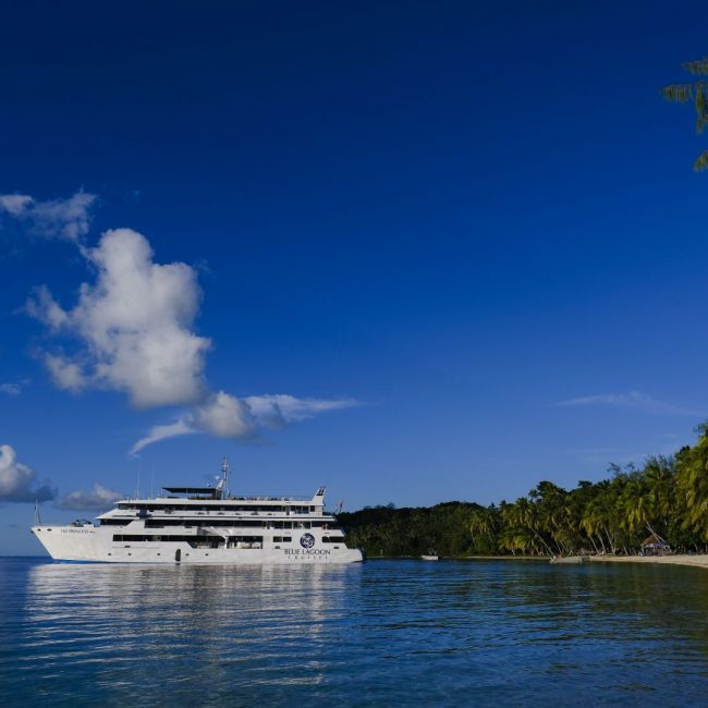 Luxury Cruise Ship Anchored in Tropical Paradise A large white cruise ship is anchored in crystal-clear turquoise waters off a pristine tropical island lined with palm trees and lush vegetation under a brilliant blue sky with scattered white clouds.