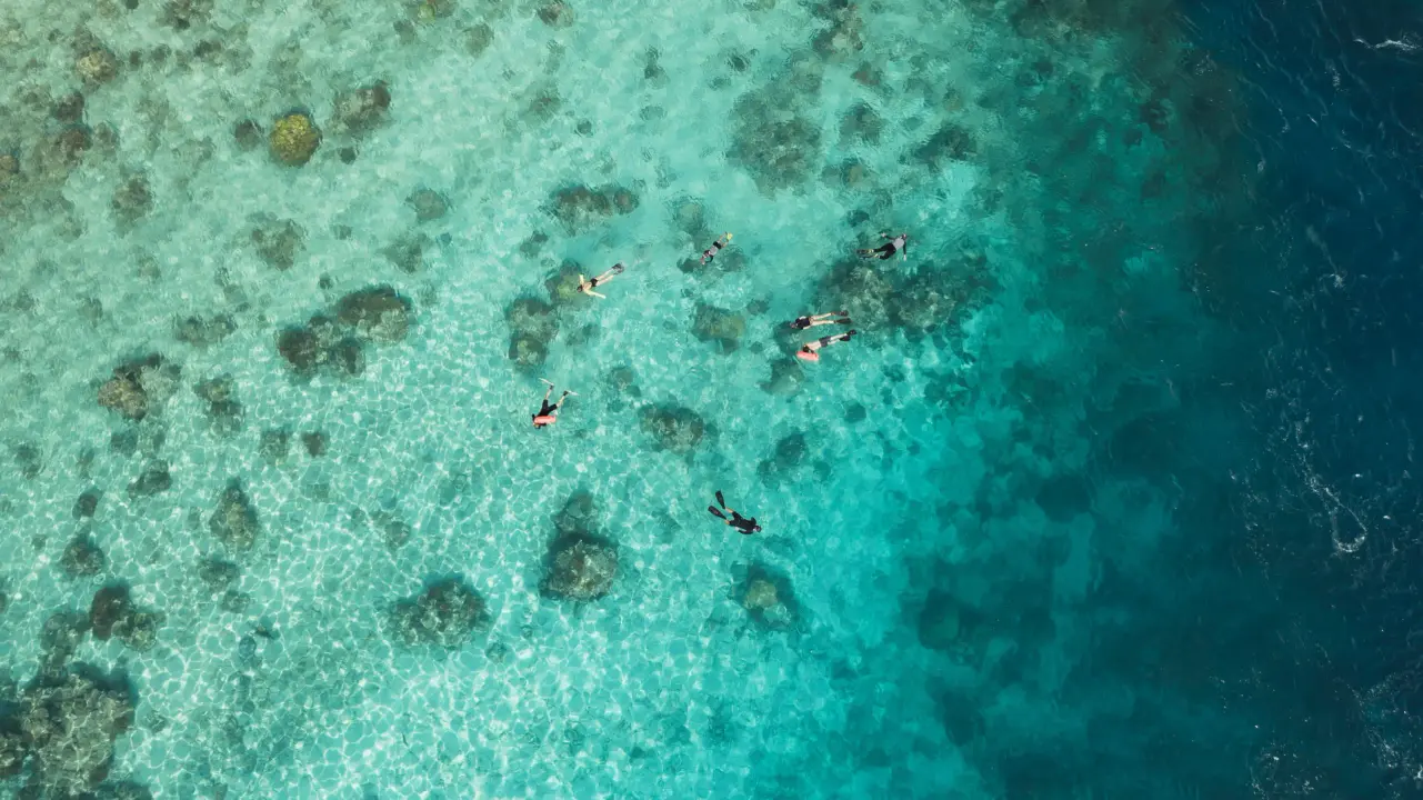 Snorkeling in Tropical Coral Reef Waters An aerial view of snorkelers exploring a vibrant shallow coral reef with crystal-clear turquoise