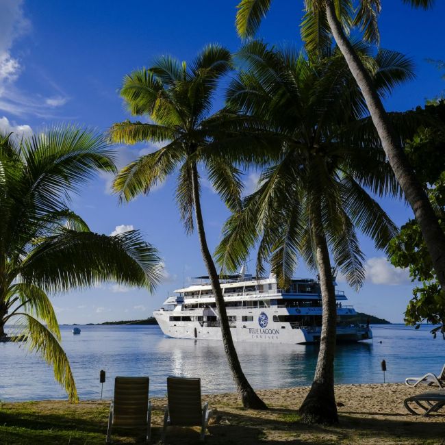 Tropical Beach Resort with Cruise Ship A serene tropical beach scene featuring palm trees framing a large cruise ship anchored in clear