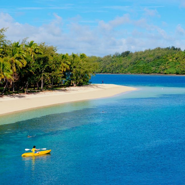 Tropical Island Beach with Kayaker A pristine tropical island beach featuring turquoise waters, white sand, and lush palm trees with