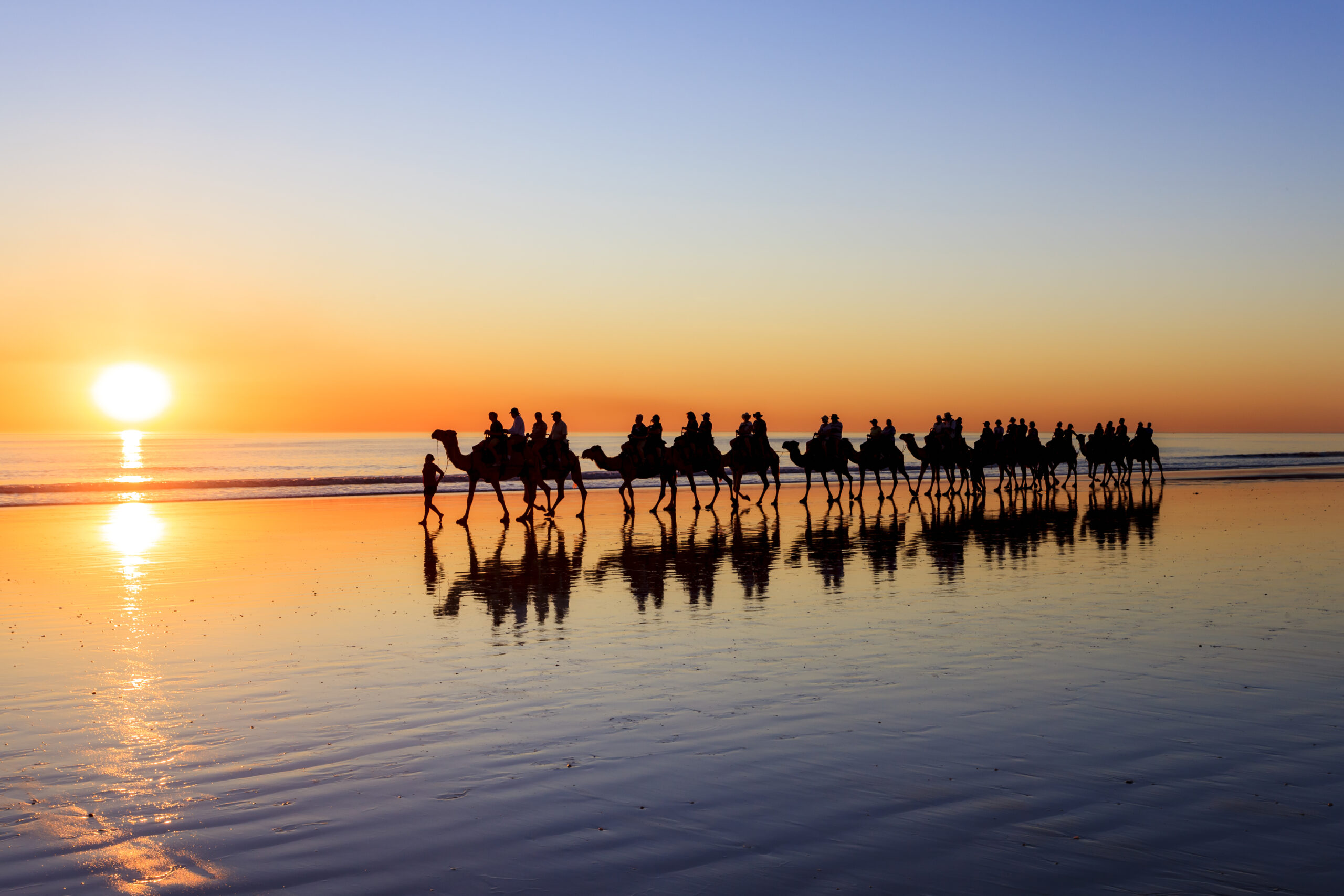 A scenic sunset scene featuring a caravan of camels with riders silhouetted against a golden sky, walking along a pristine beach with mirror-like wet sand reflections. This iconic desert and coastal tourism experience captures the serene beauty of camel trekking adventures.