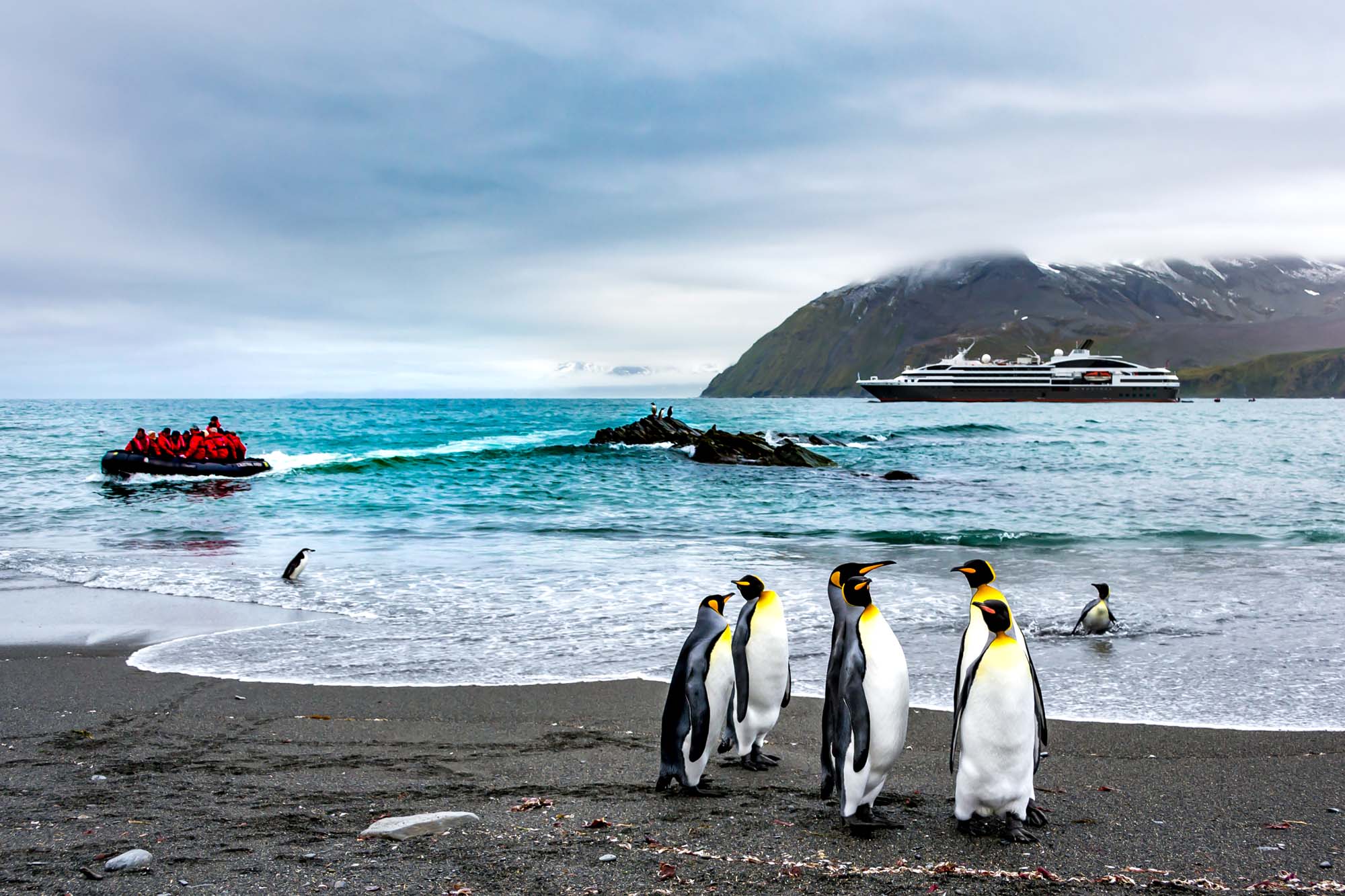 A group of King Penguins stand on a black sand beach in South Georgia, with a large expedition cruise ship anchored in the turquoise waters behind them. Snow-capped mountains frame the scene, while zodiac boats with passengers explore the pristine Antarctic landscape.