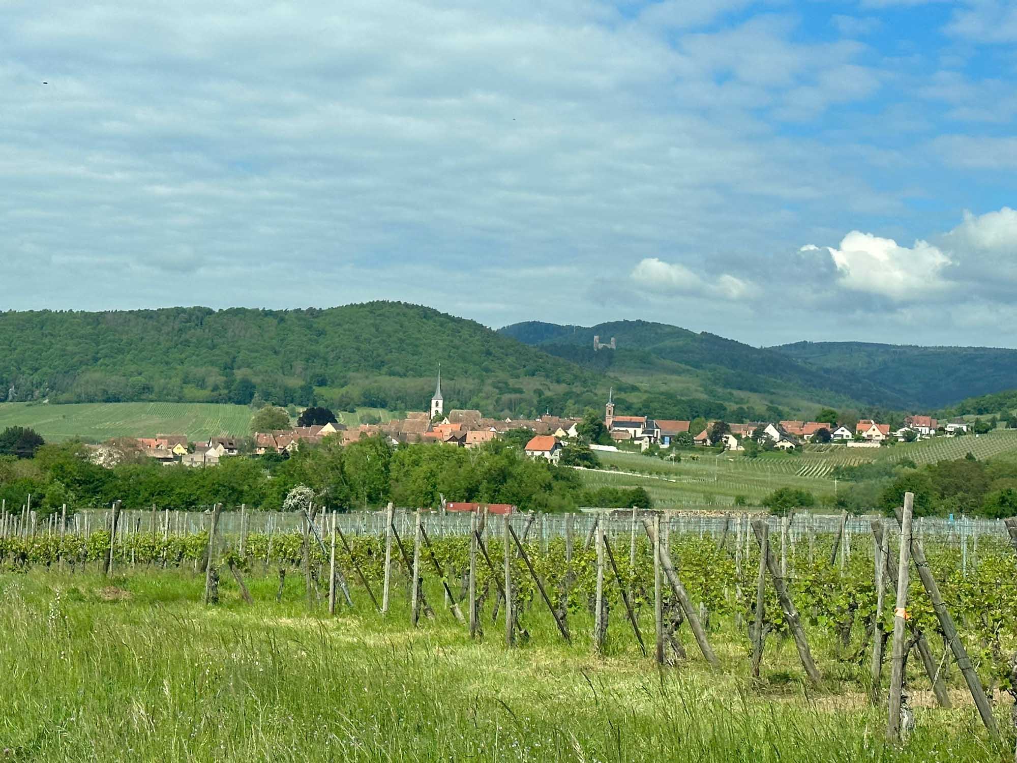 Rhine Valley Vineyard Village Landscape A scenic view of a traditional German wine village nestled in a verdant valley, with distinctive church spires rising above terracotta-roofed houses, surrounded by terraced vineyards on rolling hills under a partly cloudy sky.