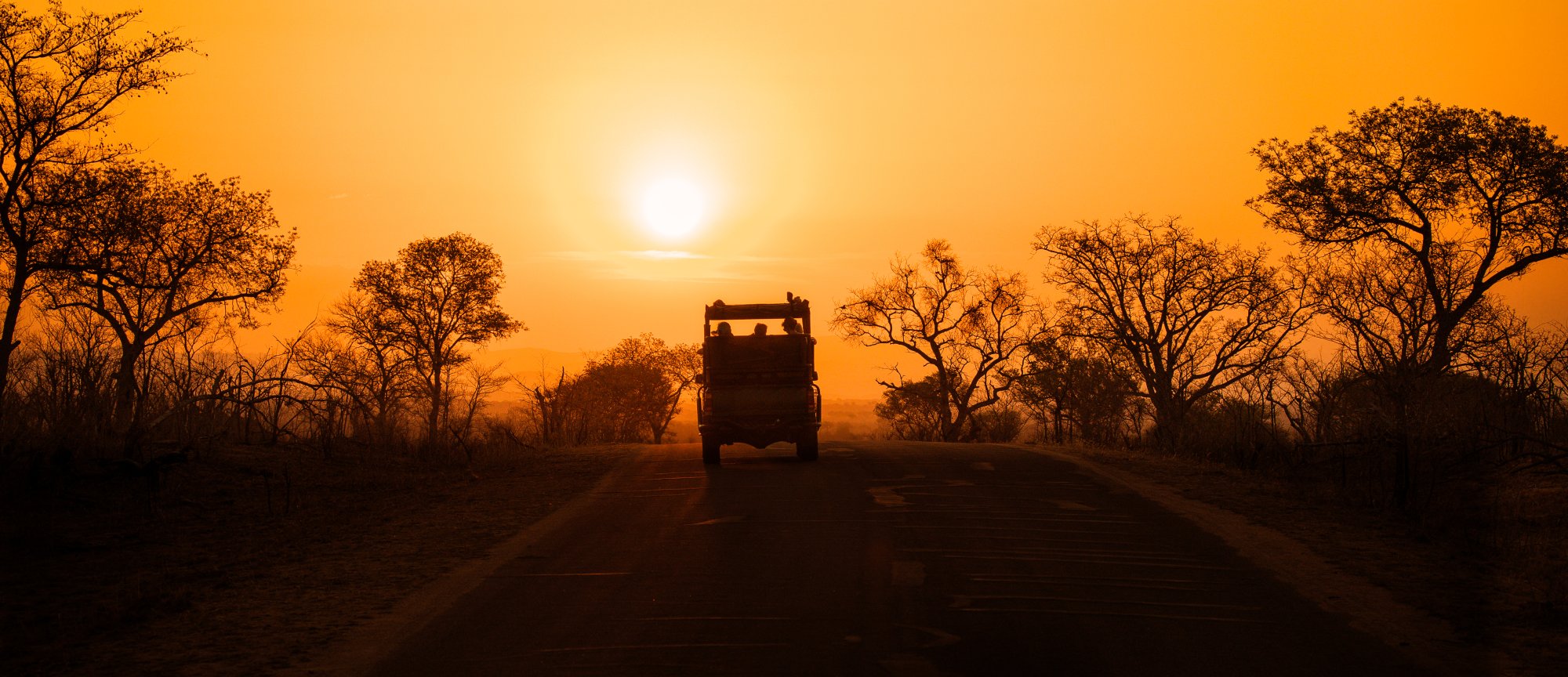 A safari vehicle on the African savanna at sunrise with golden light illuminating the landscape.