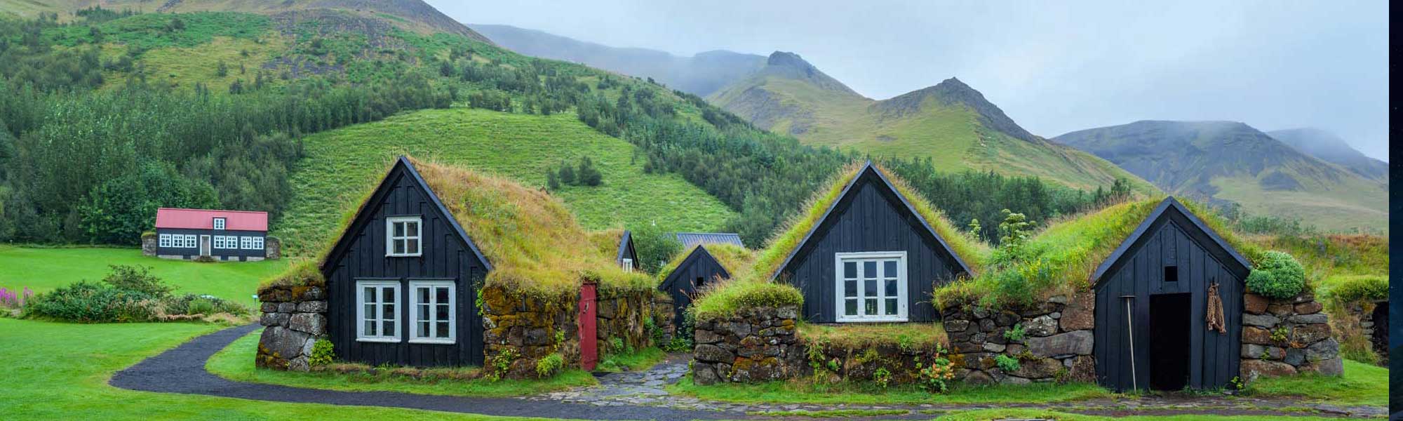 A picturesque cluster of historic Icelandic turf-roofed houses with distinctive black wooden walls, white-framed windows, and moss-covered sod roofs nestled in a verdant valley. Snow-capped mountains and coniferous forests frame this traditional settlement, showcasing the iconic architectural heritage of rural Iceland.